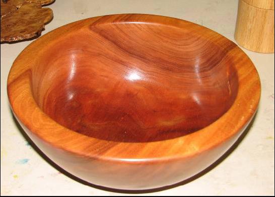 Cal Elshoff – bowl3_mar08