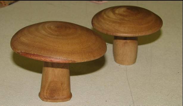 Frank Guarino – mushroom_mar08