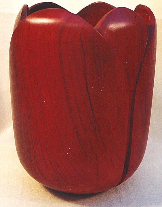 Dan Hogan – purpleheart1