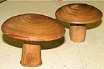Frank Guarino – thmbmushroom_mar08